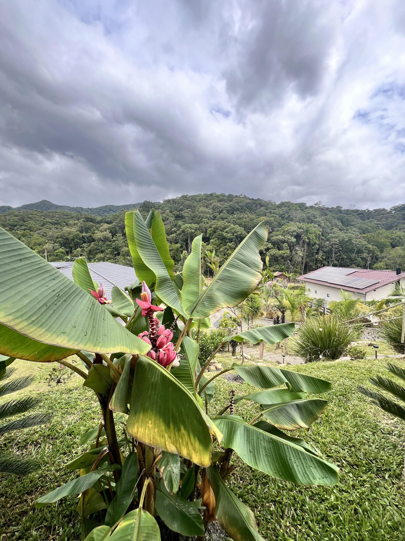 Paraíso a Venda com 2 Casas Novas, Riacho e Lagoa